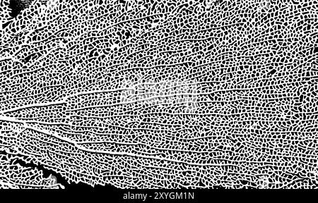 Sfondo a foglia di scheletro. Non IA. Illustrazione vettoriale Illustrazione Vettoriale