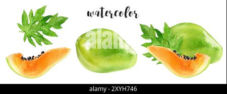 Un'illustrazione ad acquerello di una composizione Papaya con bellissime foglie verdi Foto Stock
