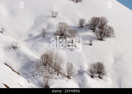 primo piano su alberi senza foglie, sopra una montagna innevata e splendide cime innevate. Natura selvaggia invernale, in una giornata di sole Foto Stock