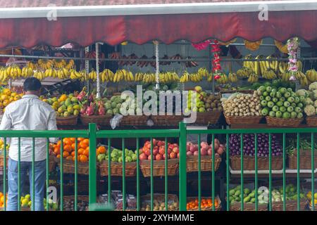 Vista posteriore di un uomo indiano che sceglie prodotti freschi in un negozio di frutta. Piccola India, Singapore. Foto Stock