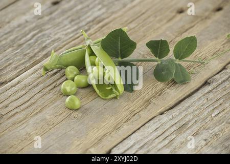 Gruppo di piselli verdi freschi, cialde di piselli con foglie verdi e cialde di pisello aperto su una superficie di legno Foto Stock