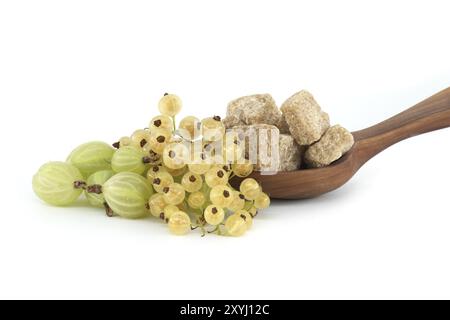 Uva spina e ribes gialli accanto a cubetti di zucchero di canna in una ciotola di legno, isolata su fondo bianco, marmellata di frutti di bosco, preparazione delle composizioni Foto Stock