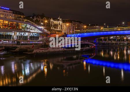 Traghetto ancorato nel canale del Danubio, dietro il molo illuminato di Franz-Josefs e il ponte di Santa Maria, ripresa notturna, Vienna, Austria, Europa Foto Stock