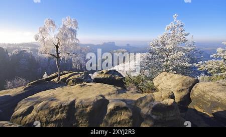 Montagne di arenaria dell'Elba in inverno Carolafelsen, montagne di arenaria dell'Elba in inverno e hoarfrost, Carolarock Foto Stock