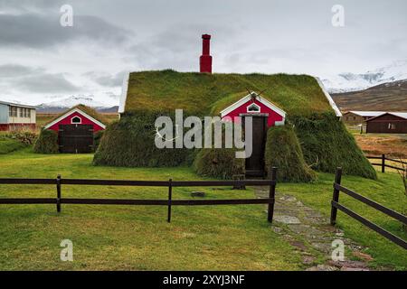 Lindarbakki case in erba a Borgarfjordur Eystri nell'Islanda orientale in una giornata nuvolosa Foto Stock