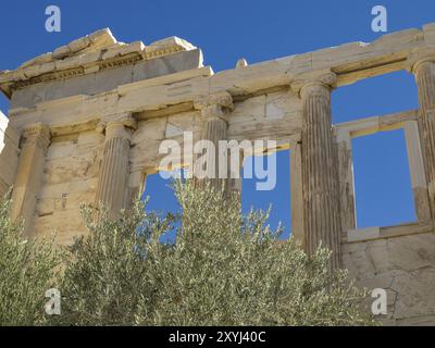 Antiche rovine con finestre e colonne aperte, accanto a un albero sotto un cielo blu, atene, grecia Foto Stock