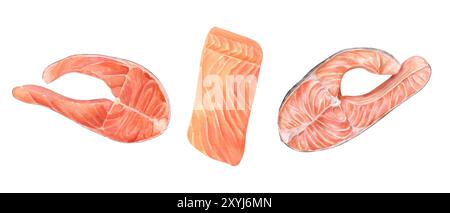 Bistecca di salmone crudo al vapore e clipart illustrativo del filetto con acquerello. Pesce di trota sano pittura a mano ingrediente per frutti di mare e ricette marine Foto Stock