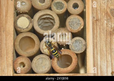 Insektenhotel im Garten. Hotel per insetti, noto come hotel per insetti o casa per insetti Foto Stock