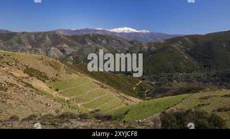 Ampio paesaggio con valli verdi e sentieri sulle montagne sotto un cielo azzurro, Lefka Ori, White Mountains, massiccio montuoso, Ovest, Creta, Grecia, Europ Foto Stock