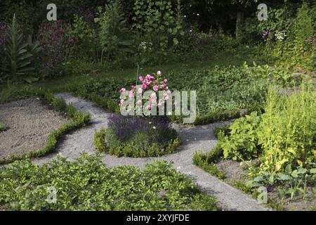 Giardino di assegnazione a Boesingfeld Foto Stock