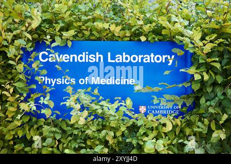 Physics of Medicine, laboratorio Cavendish, Università di Cambridge, Inghilterra. Foto Stock