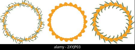 Rappresentazione artistica di tre corone di bacche di spinoso marino con foglie verdi, che mostrano formazioni circolari di frutti di arancio radianti e un ricco fogliame verde. Illustrazione Vettoriale