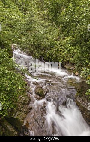 Kalmbach, affluente del Passiere nei pressi di San Martino, Val Passiria, alto Adige Foto Stock