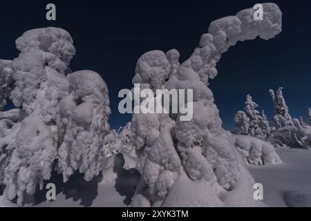 Paesaggio innevato al chiaro di luna, Gaellivare, Norrbotten, Lapponia, Svezia, dicembre 2012, Europa Foto Stock