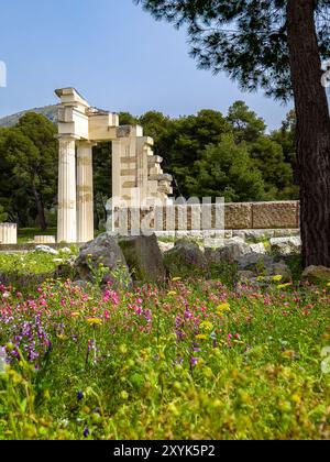 Il teatro antico di Epidauro (o 'Epidavros'), Argolide prefettura, Peloponneso, Grecia. Foto Stock