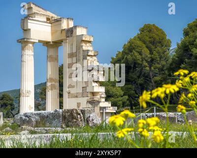 Il teatro antico di Epidauro (o 'Epidavros'), Argolide prefettura, Peloponneso, Grecia. Foto Stock