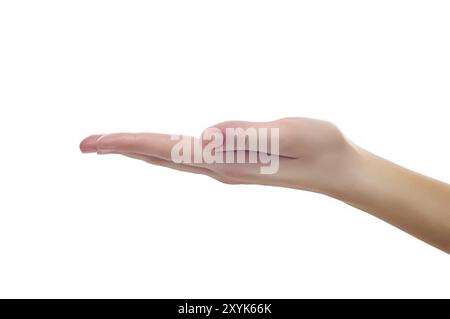 Foto ravvicinata di una donna che tiene la mano o mostra qualcosa con il copyspace bianco isolato su bianco Foto Stock