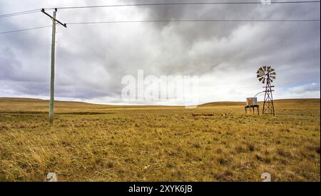 Texas ruota in Outback a Tumut Nuovo Galles del Sud Australia Foto Stock