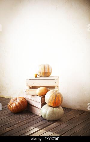 Composizione di diverse zucche verdi e arancioni su pavimento in legno tra le scatole in campagna Foto Stock