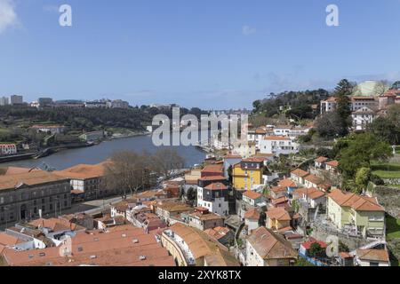 Vista sui tetti della città e sul fiume Douro, il Parque de las Virtudes, il parco pubblico, l'area verde, Porto, Portogallo, Europa Foto Stock