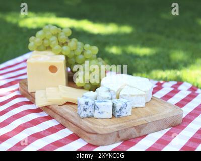 Vari tipi di formaggio con uve bianche Foto Stock