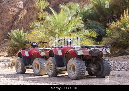 Veicolo fuoristrada a quattro ruote nel deserto sullo sfondo di palme e rocce di pietra in Egitto Dahab Foto Stock