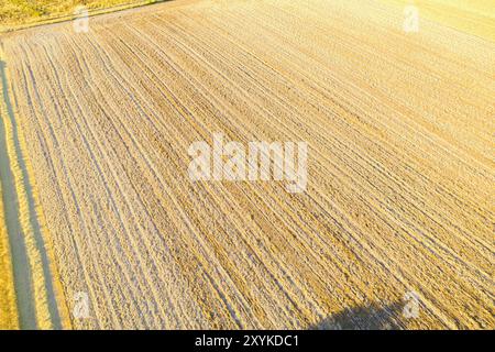 vista aerea di un campo di grano dopo la mietitura, sfondo agricolo testurizzato Foto Stock