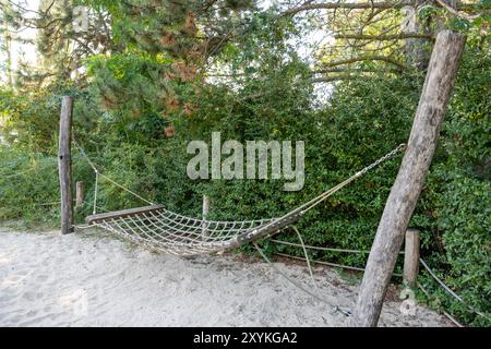 Un'altalena di corda è appesa a un albero in un'area boscosa. La fune è legata a un tronco di albero e l'altra estremità è appesa a un ramo di albero. La scena è P. Foto Stock