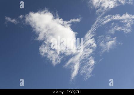 Sfondo cloud. Immagine cloud Foto Stock