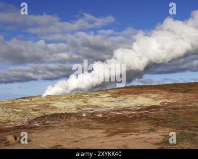 L'area ad alta temperatura di Gunnuhver in Islanda Foto Stock