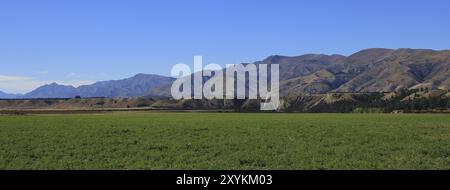 Paesaggio a Otago, South Island. Terreni agricoli verdi irrigati. Montagne marroni secche. Scena estiva in nuova Zelanda Foto Stock