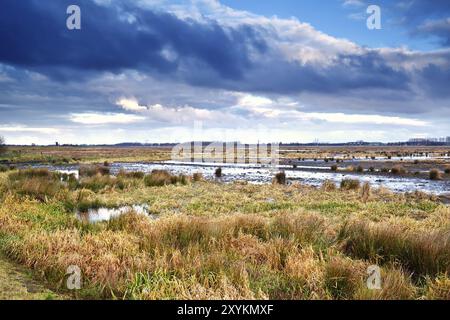 Bel paesaggio nuvoloso sulla palude al mattino, Drenthe Foto Stock