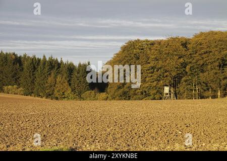 Campo con nascondiglio rialzato sul bordo di una parete Foto Stock