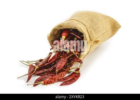 Peperoncino essiccato in un sac su sfondo bianco Foto Stock