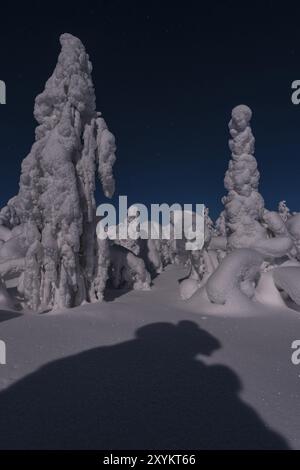 Paesaggio innevato al chiaro di luna, Gaellivare, Norrbotten, Lapponia, Svezia, dicembre 2012, Europa Foto Stock