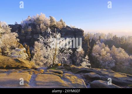 Montagne di arenaria dell'Elba in inverno Schrammsteine, montagne di arenaria dell'Elba in inverno e hoarfrost, Schrammsteine Foto Stock