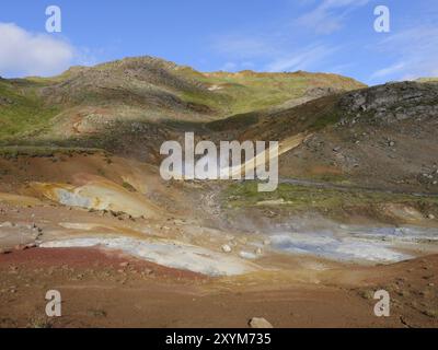 Campo solfatar di Seltun nel sistema vulcanico Krysuvik nel sud della penisola di Reykjanes in Islanda Foto Stock