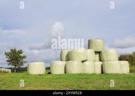 Gruppo di plastificata di balle di fieno in pascolo Foto Stock