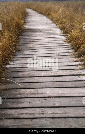 Percorso di una tavola attraverso l'Hiller Moor Foto Stock