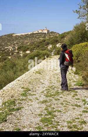 Camino del far de Llebeig. Parque Natural de sa Dragonera. Andratx.Mallorca.Illes Balears. Espana Foto Stock