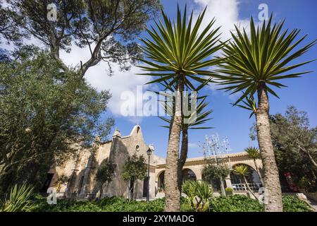 Creu de les Creus, una escultura realizada por el artista Jaume Falconer y el herrero Toni Sastre, jugando con la idea del arbol de la ciencia de ramo Foto Stock