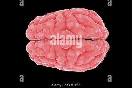 Immagine concettuale del cervello umano Foto Stock