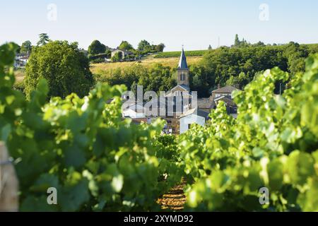 Villaggio di Saint Julien e piaga nella terra del Beaujolais, Francia, Europa Foto Stock