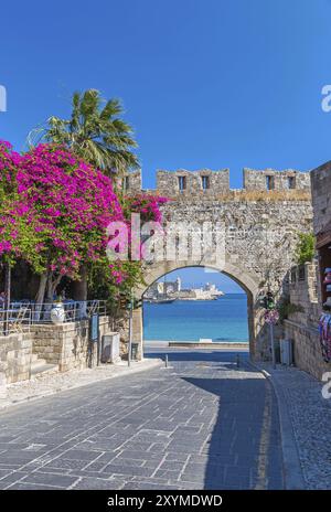 Città vecchia di Rodi Foto Stock