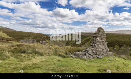 Arrendersi puzzava Mill, tra Feetham e Langthwaite, Yorkshire Dales, vicino a Richmond, North Yorkshire, Regno Unito Foto Stock