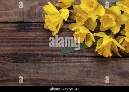 Bouquet di narciso giallo o narciso su sfondo di legno scuro, cornice a molla con spazio per le copie Foto Stock