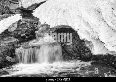 Ruscello nelle Alpi Abisko, Norrbotten, Lapponia, Svezia, luglio 2013, Europa Foto Stock