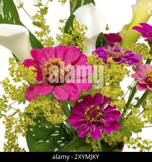 Bouquet di gigli di calla, zinnia e mantello da donna ritagliato su bianco Foto Stock