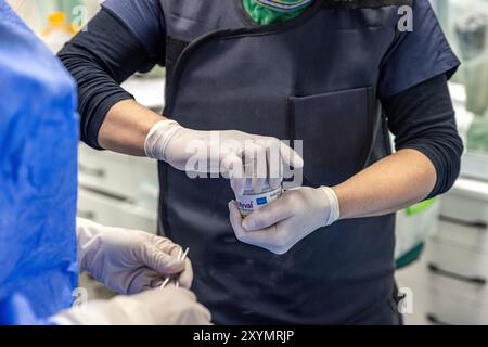 Istanbul, Turchia 29 febbraio 2024; Myval, Un romanzo Transcatheter Heart Valve for the Treatment of severe Aortic Stensis. Myval Transcatheter Heart va Foto Stock