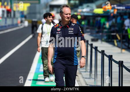 Monza, Italia. 29 agosto 2024. Paul Monaghan (GBR, Oracle Red Bull Racing), Gran Premio d'Italia di F1 all'autodromo Nazionale di Monza il 29 agosto 2024. (Foto di HOCH ZWEI) credito: dpa/Alamy Live News Foto Stock